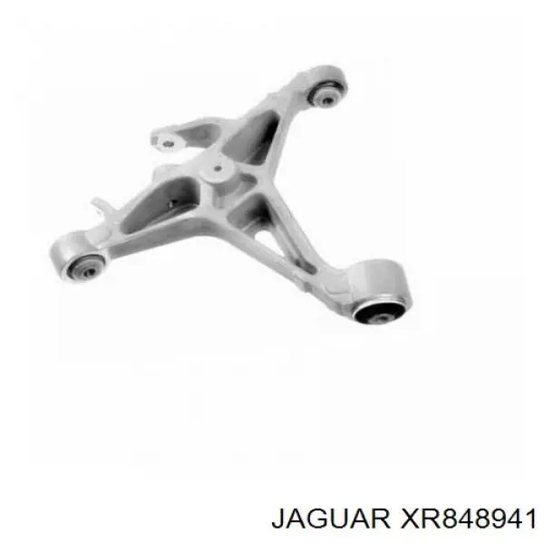 XR829472 Jaguar 