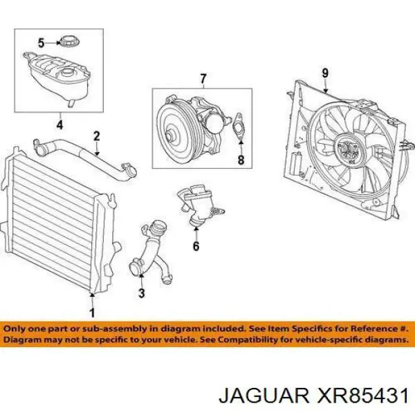 XR85431 Jaguar 