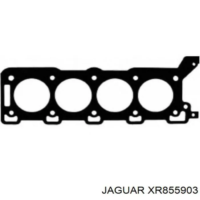  Junta de culata derecha para Jaguar S-type CCX