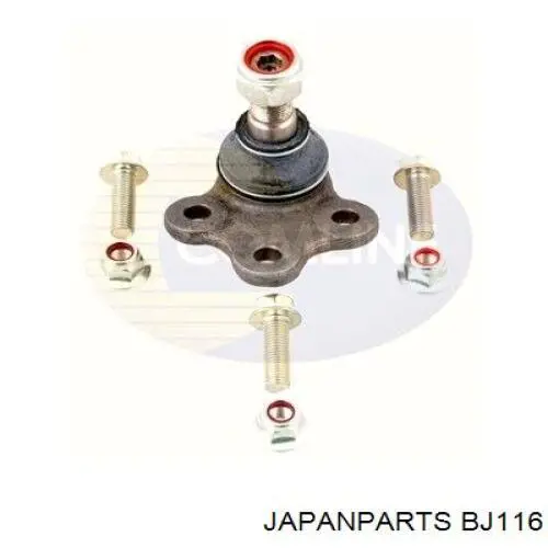 BJ-116 Japan Parts rótula de suspensión inferior