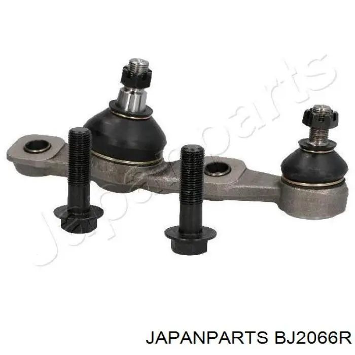 BJ-2066R Japan Parts rótula de suspensión inferior derecha