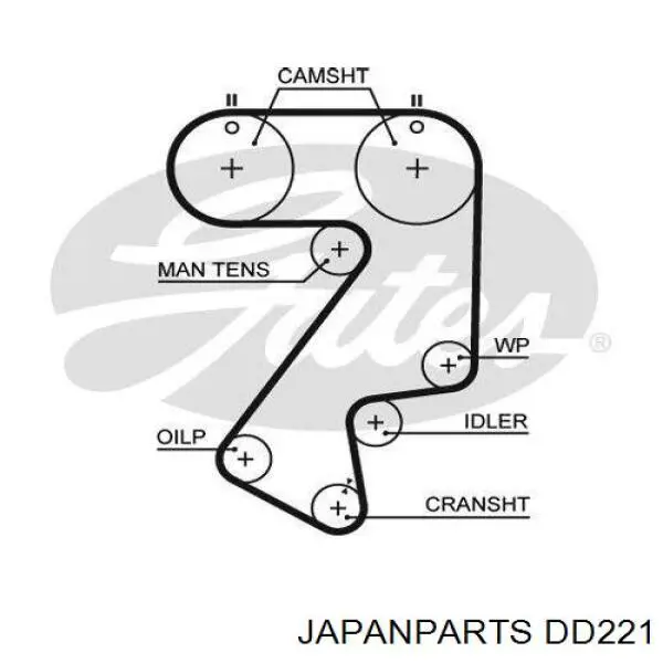 DD-221 Japan Parts correa distribucion