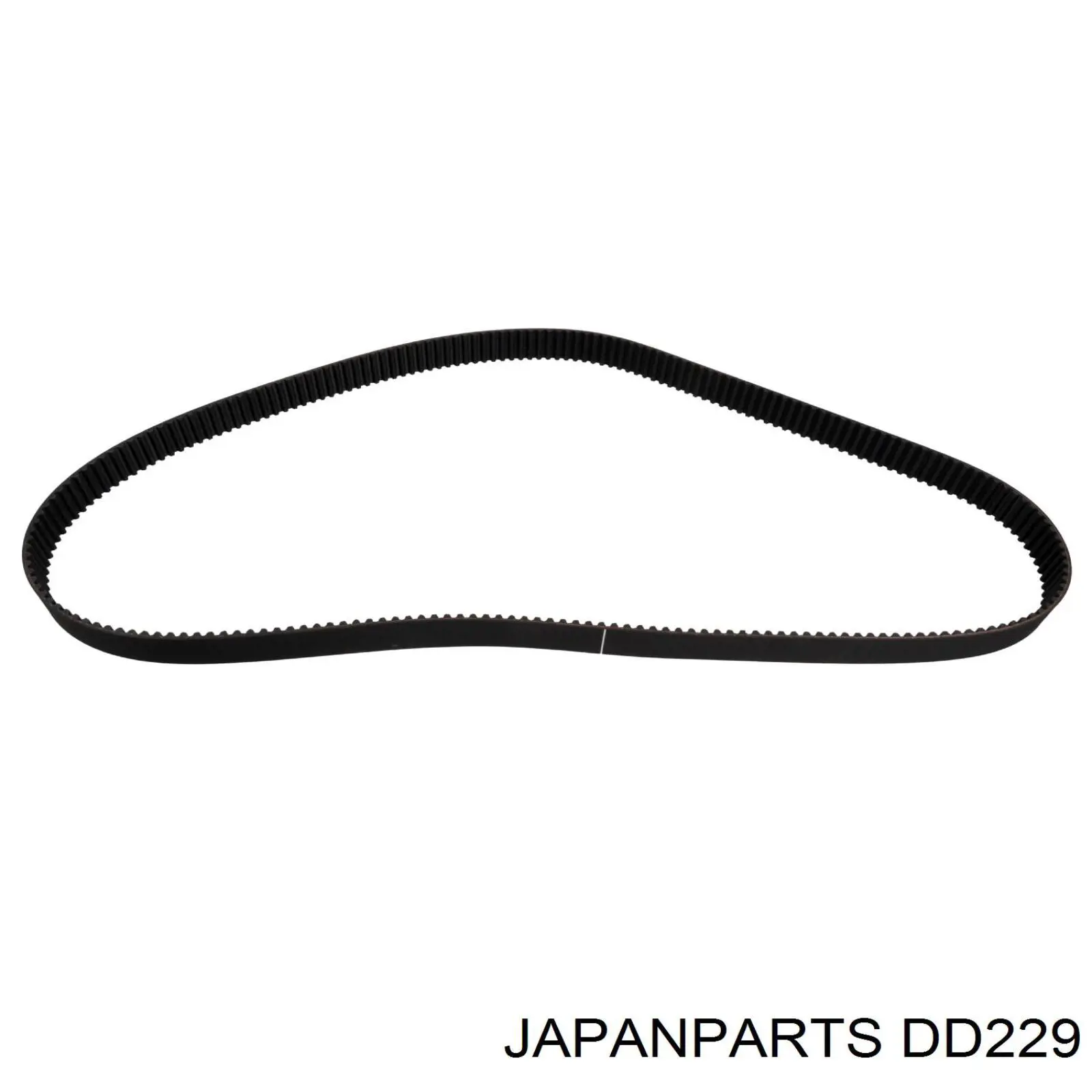 DD229 Japan Parts correa distribucion