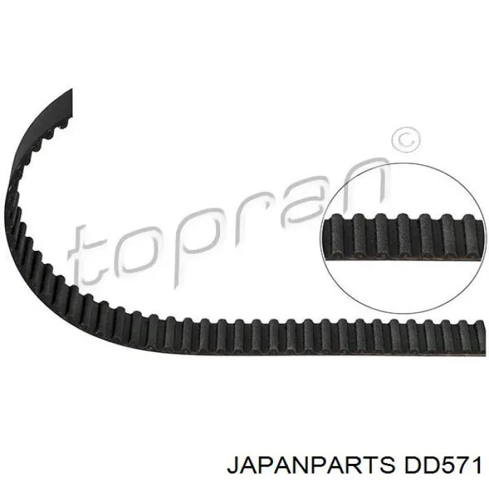 DD-571 Japan Parts correa distribucion