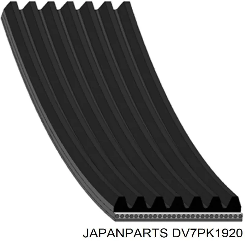 DV7PK1920 Japan Parts correa trapezoidal