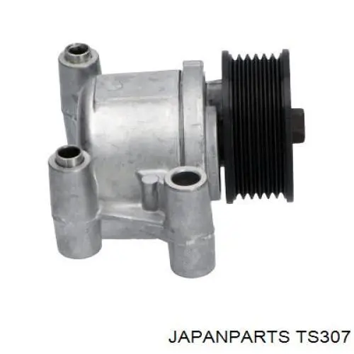 TS-307 Japan Parts tensor de correa, correa poli v