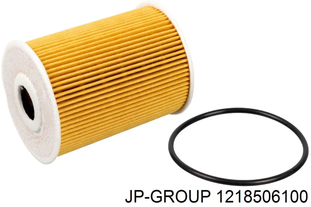 1218506100 JP Group filtro de aceite