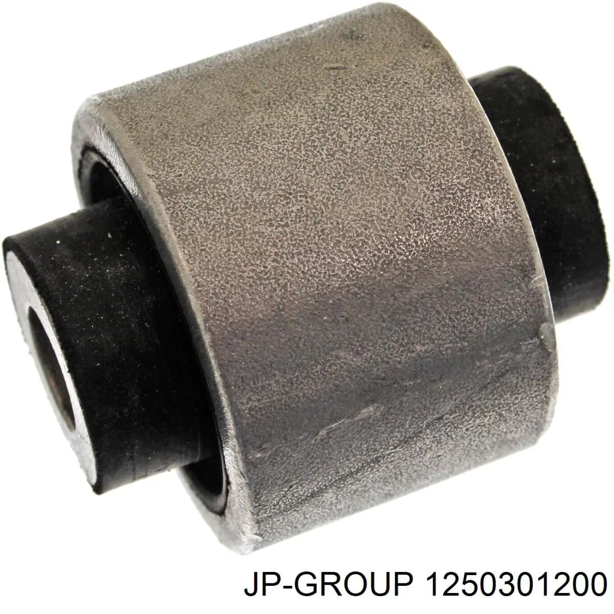 1250301200 JP Group silentblock de mangueta trasera