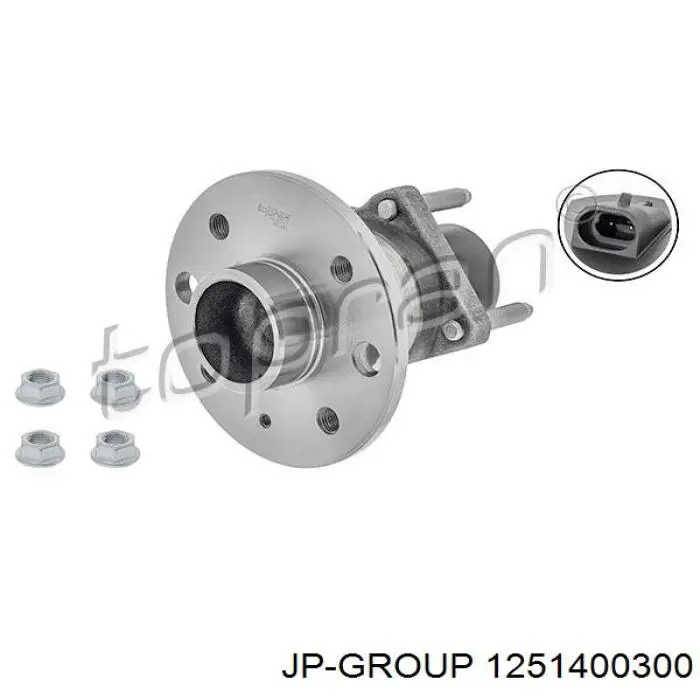 1251400300 JP Group cubo de rueda trasero