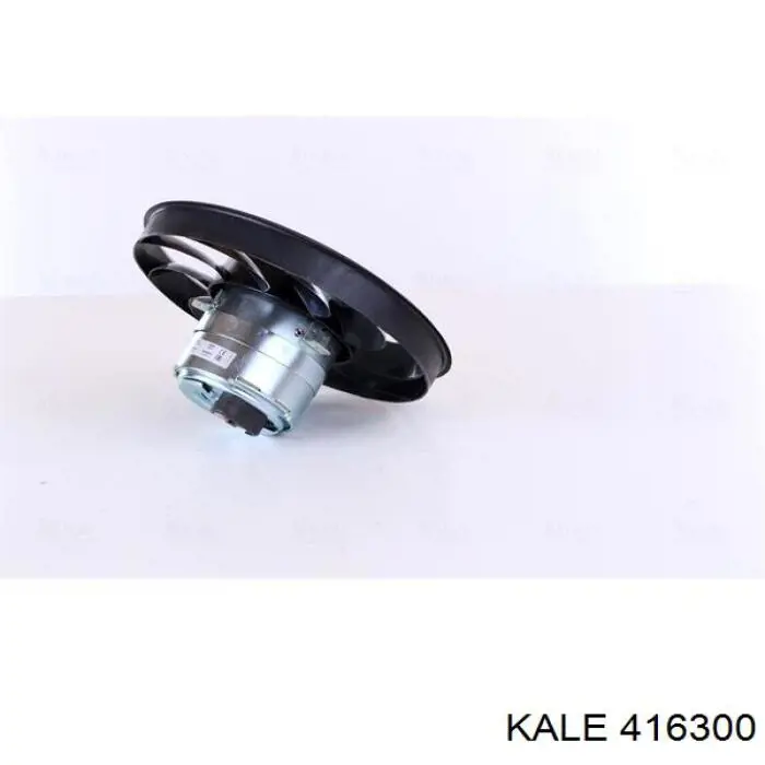 416300 Kale ventilador (rodete +motor refrigeración del motor con electromotor completo)