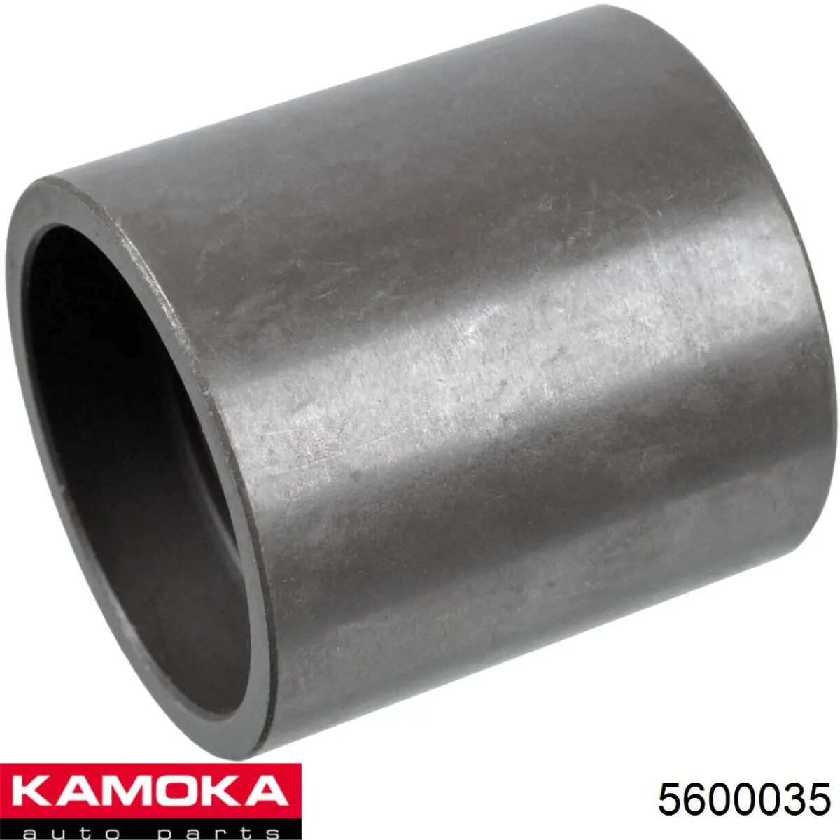 5600035 Kamoka cojinete de rueda delantero