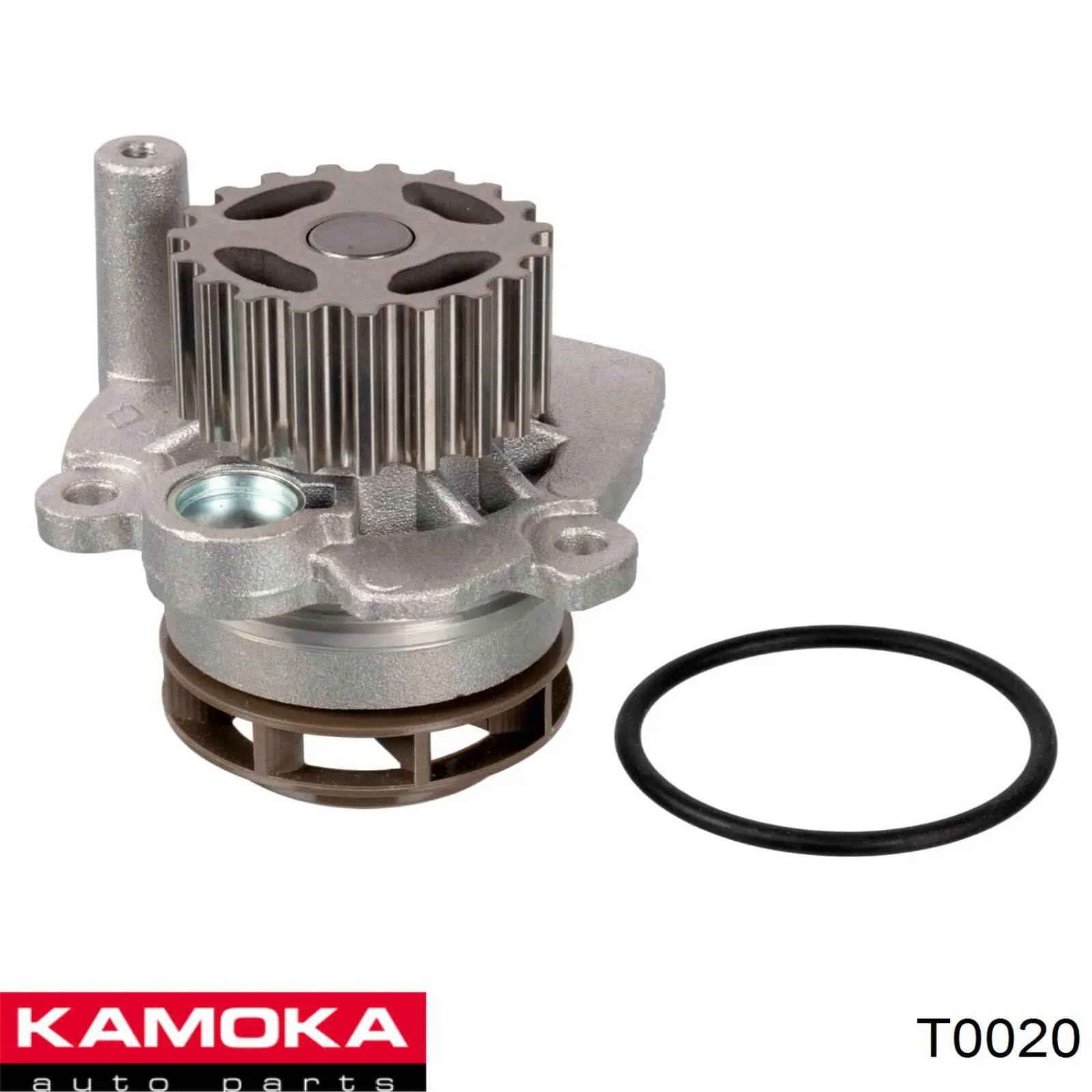 T0020 Kamoka bomba de agua