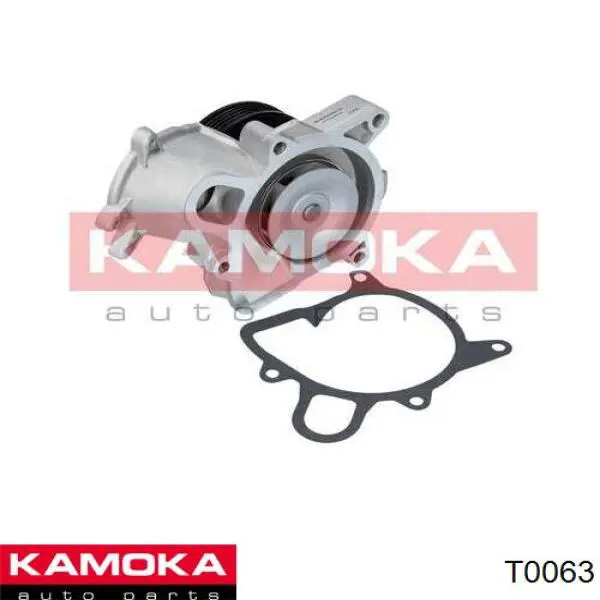 T0063 Kamoka bomba de agua