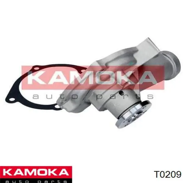 T0209 Kamoka bomba de agua