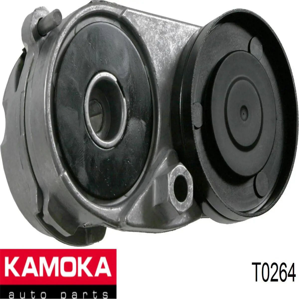 T0264 Kamoka bomba de agua