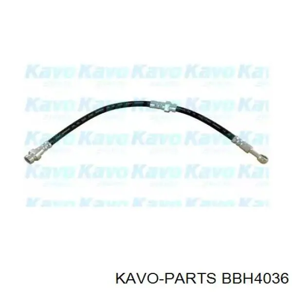 BBH-4036 Kavo Parts tubo flexible de frenos delantero izquierdo