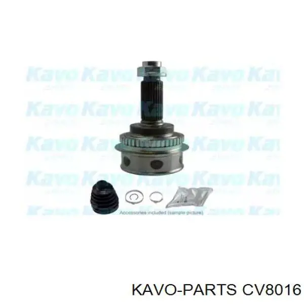 CV-8016 Kavo Parts junta homocinética exterior delantera