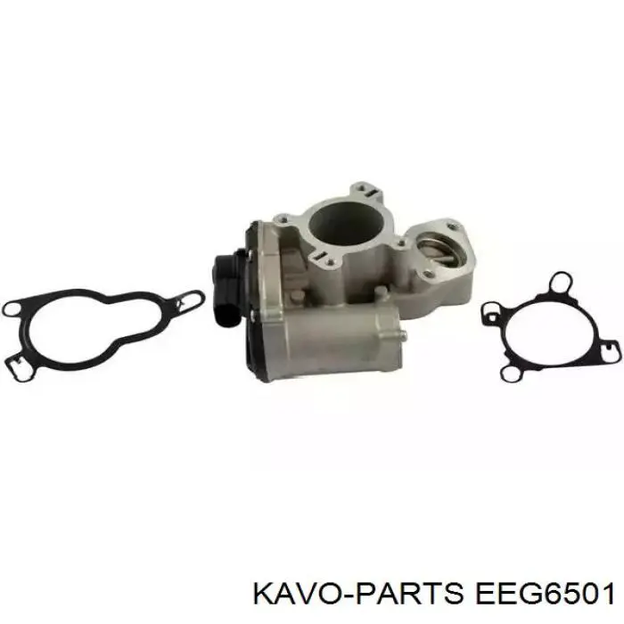 EEG-6501 Kavo Parts válvula, agr