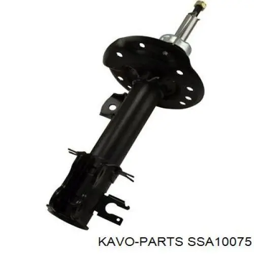 SSA-10075 Kavo Parts amortiguador trasero