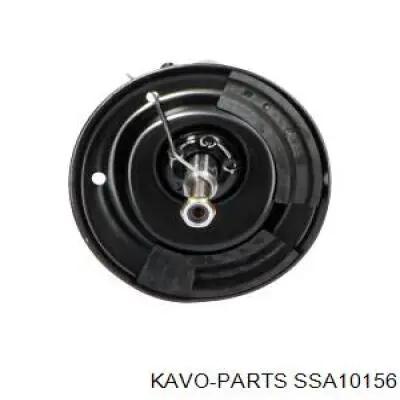 SSA-10156 Kavo Parts amortiguador delantero