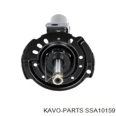 SSA-10159 Kavo Parts amortiguador delantero