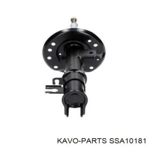 SSA-10181 Kavo Parts amortiguador delantero derecho