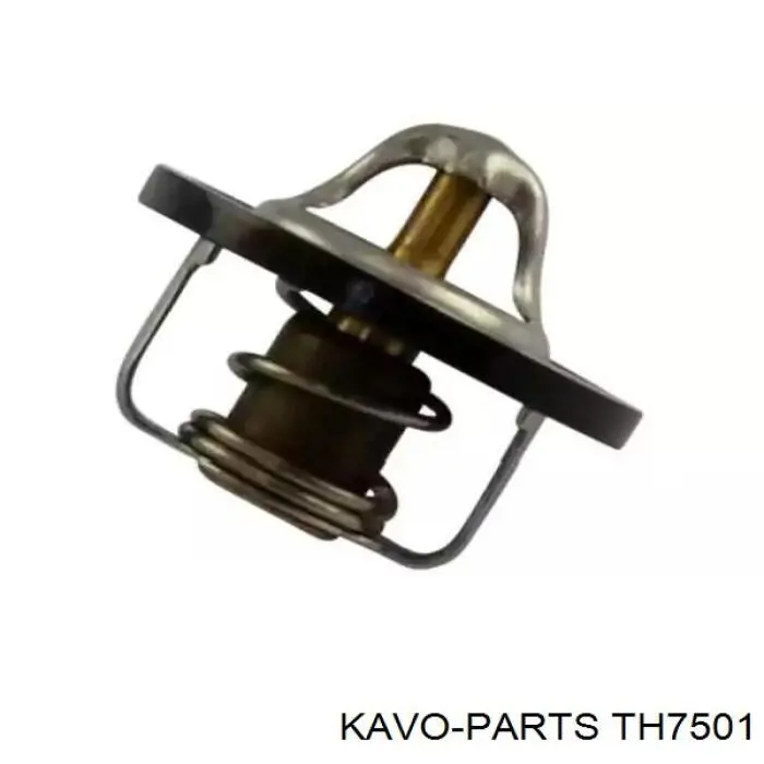 TH-7501 Kavo Parts termostato, refrigerante