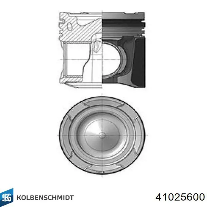  Pistón completo para 1 cilindro, STD para MAN TGX 