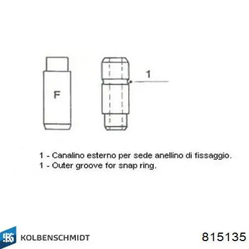 81-5135 Kolbenschmidt guía de válvula de admisión