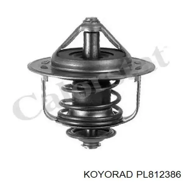 PL812386 Koyorad radiador refrigeración del motor