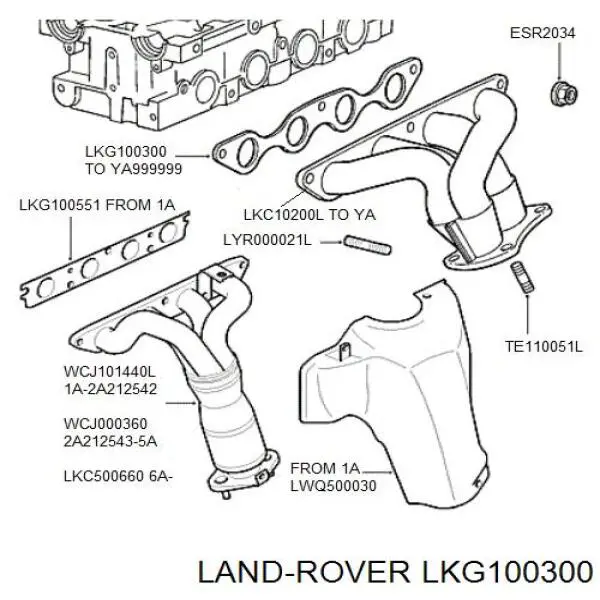 GUG704430MG Rover junta de colector de escape