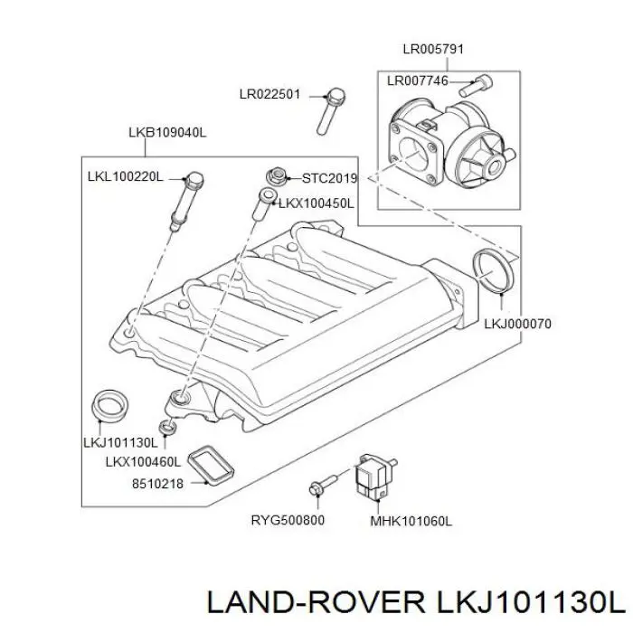 LKJ101130L Rover junta, colector de admisión