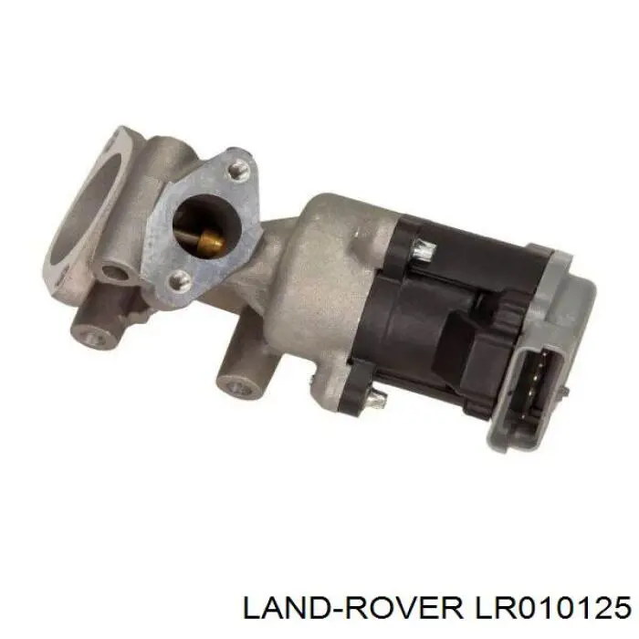 LR010125 Land Rover válvula, agr