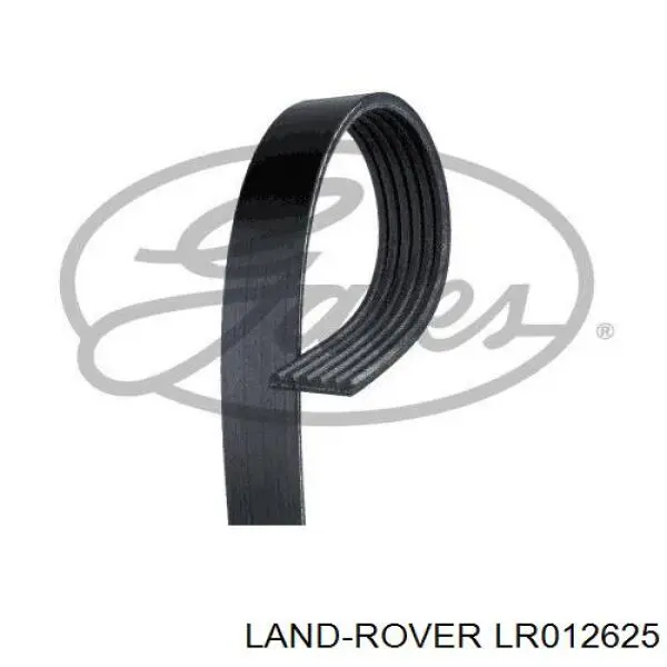 LR012625 Land Rover correa trapezoidal