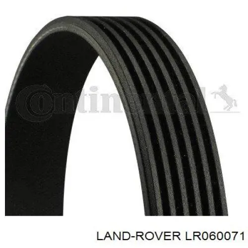 LR060071 Land Rover correa trapezoidal