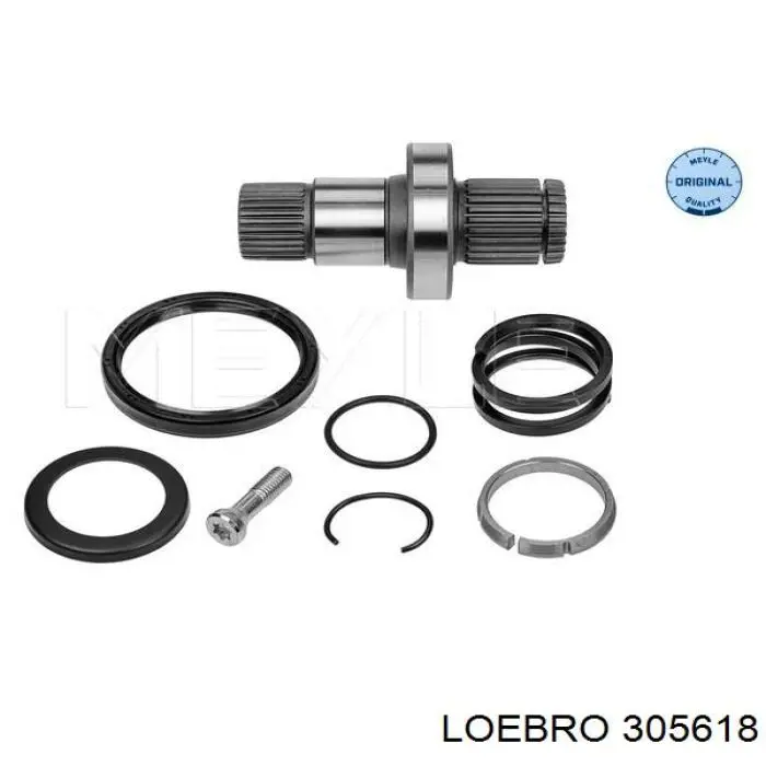 305618 Loebro semieje de transmisión intermedio