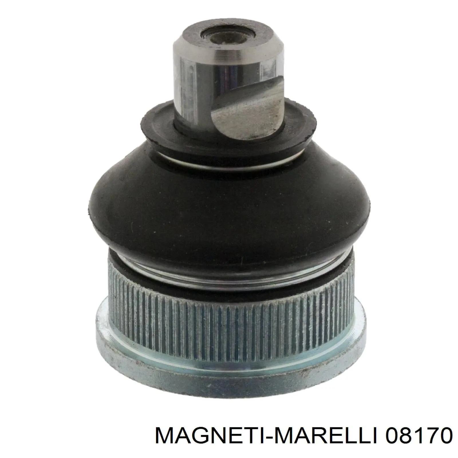 08170 Magneti Marelli piloto posterior izquierdo