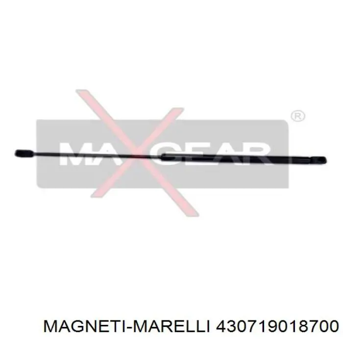 430719018700 Magneti Marelli amortiguador de maletero