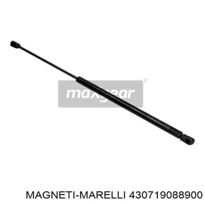 430719088900 Magneti Marelli amortiguador de maletero