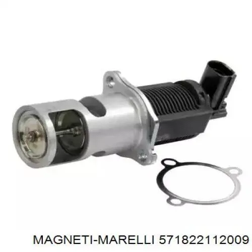 571822112009 Magneti Marelli válvula, agr