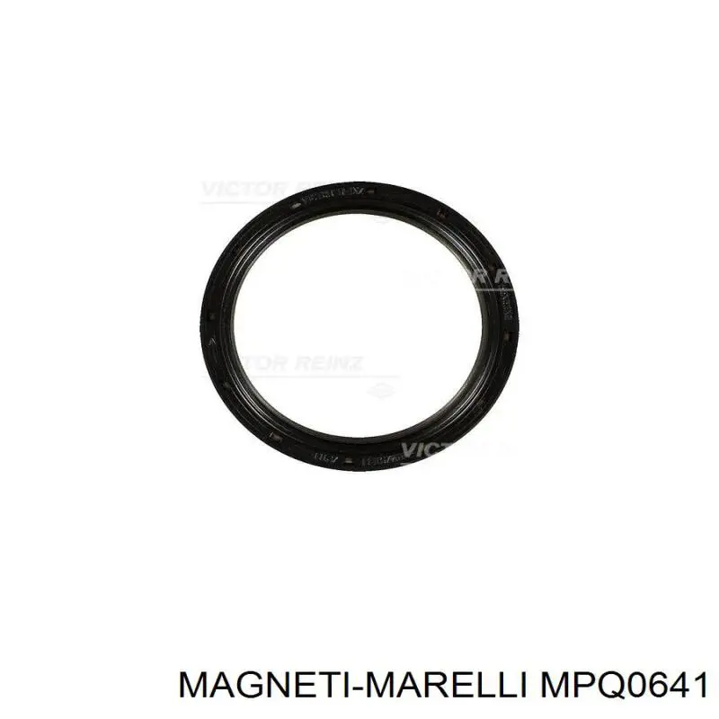 MPQ0641 Magneti Marelli rodillo, correa trapecial poli v