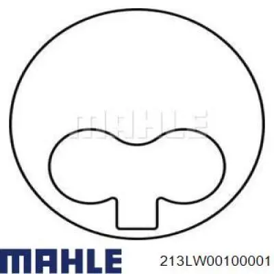 213LW00100001 Mahle Original camisa del cilindro