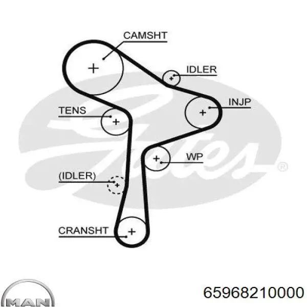 65968210000 MAN correa distribucion