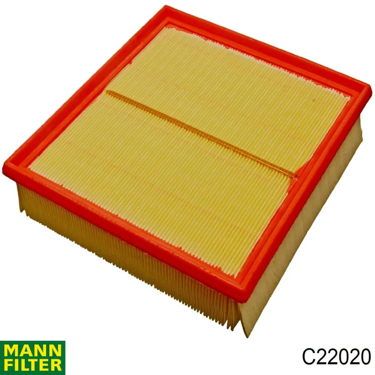 C22020 Mann-Filter filtro de aire