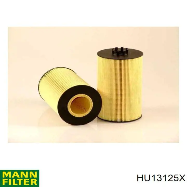 HU13125X Mann-Filter filtro de aceite