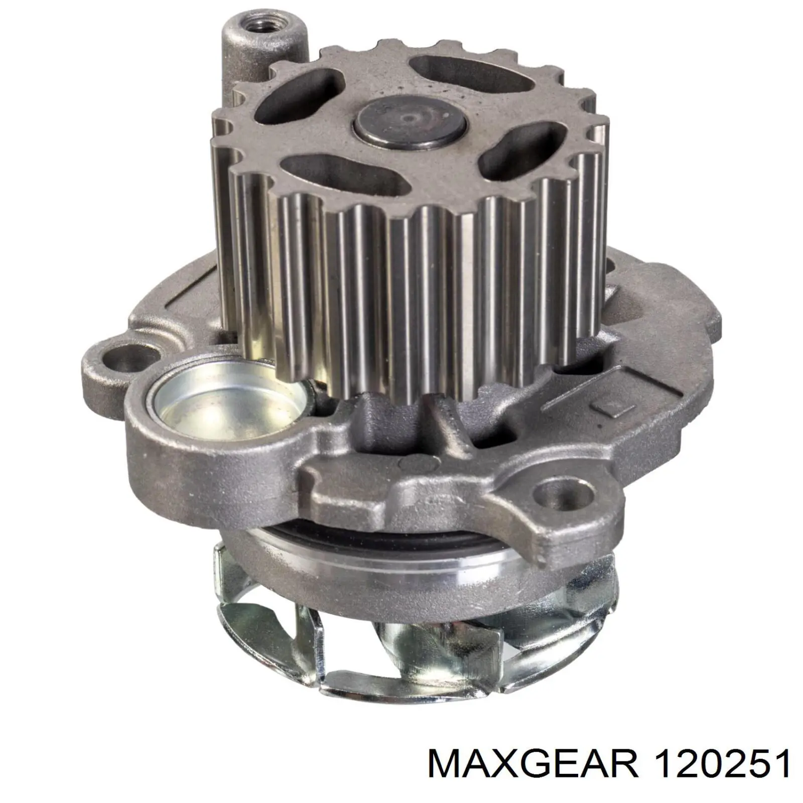 12-0251 Maxgear amortiguador de maletero