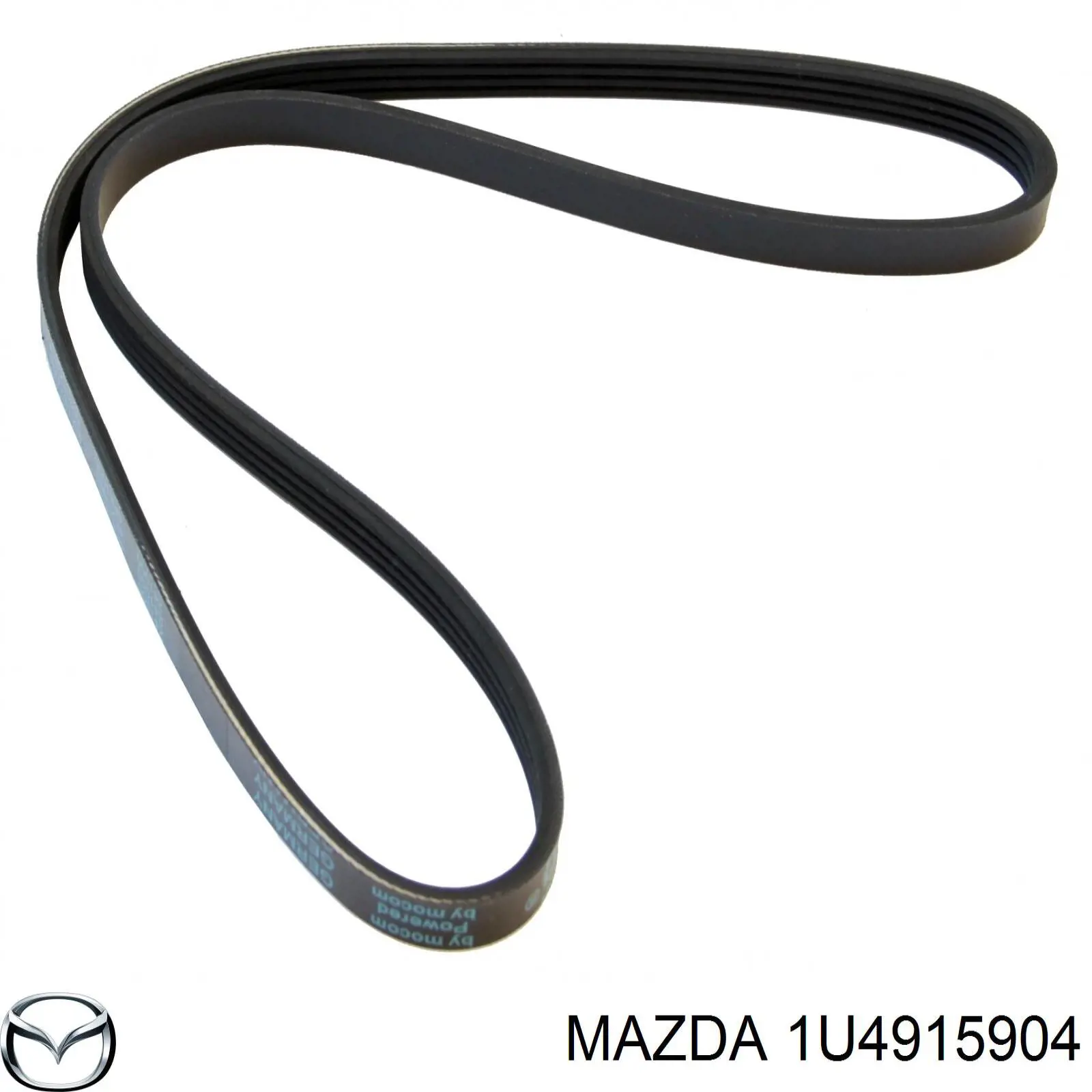 1U4915904 Mazda 