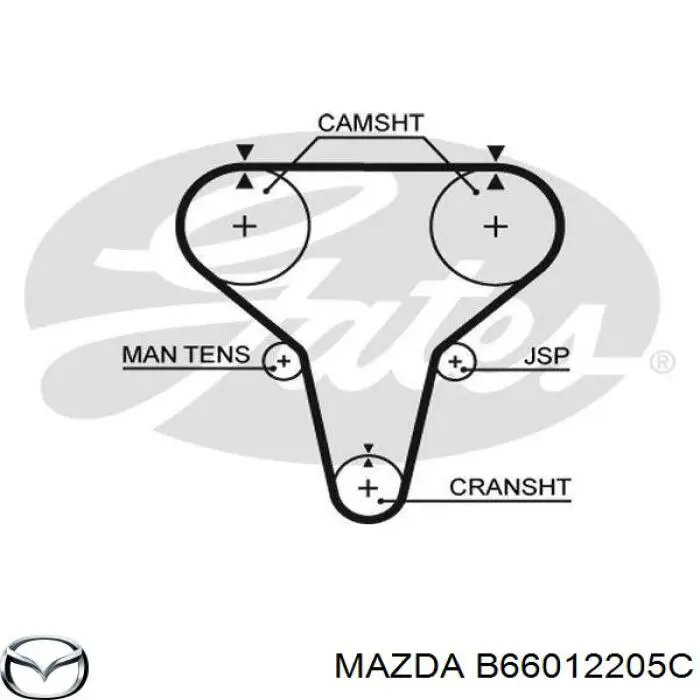 B66012205C Mazda correa distribucion