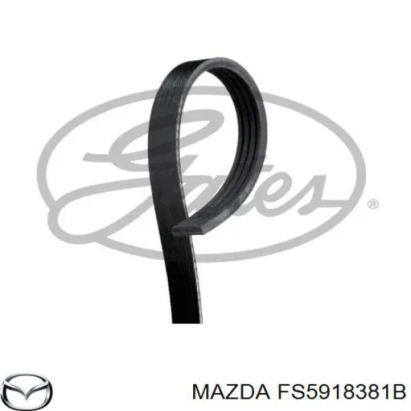 FS5918381B Mazda 