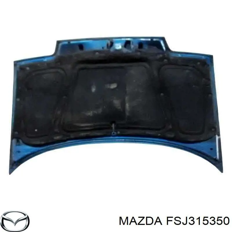 FSJ315350 Mazda 